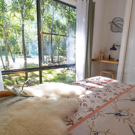 Airlie Beach Eco Cabins - Adults Only Dış mekan fotoğraf