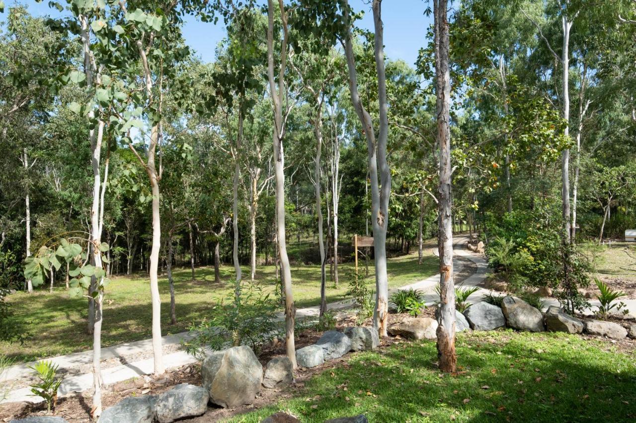Airlie Beach Eco Cabins - Adults Only Dış mekan fotoğraf