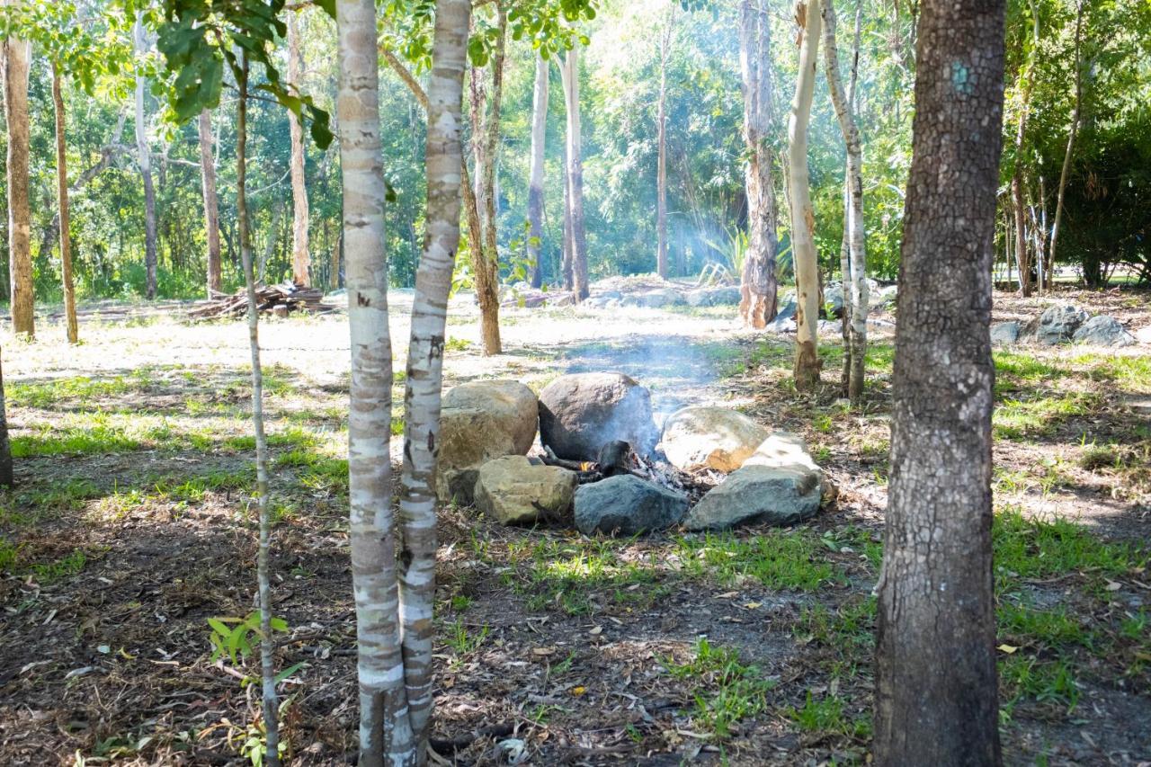 Airlie Beach Eco Cabins - Adults Only Dış mekan fotoğraf